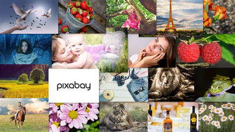 pixabay free stock videos|18 Best Places to Get Stock Videos (Free and Paid)